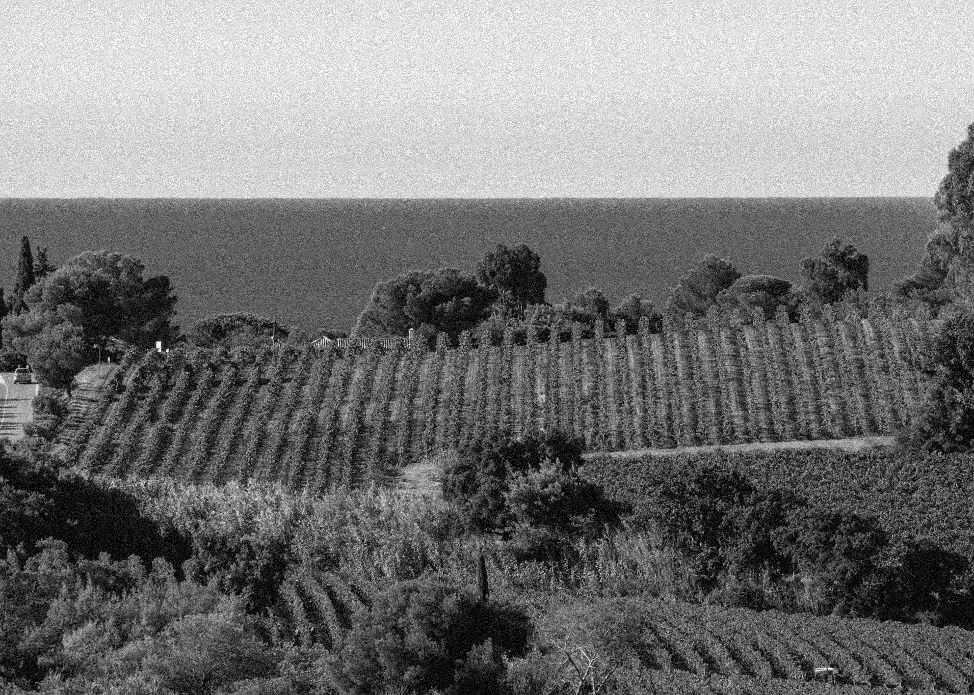 Provence/Bandol