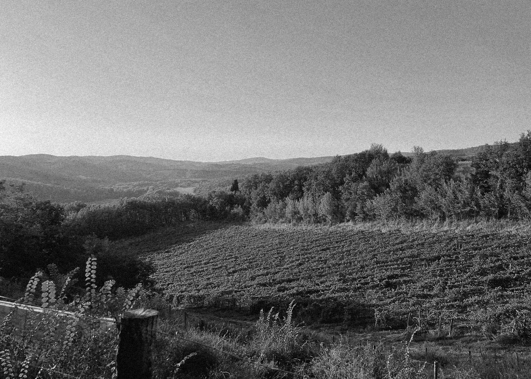 Tuscany