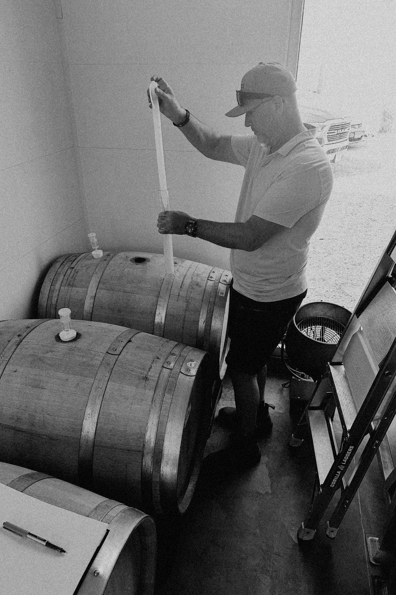 Harvest at SpaceDog Wines