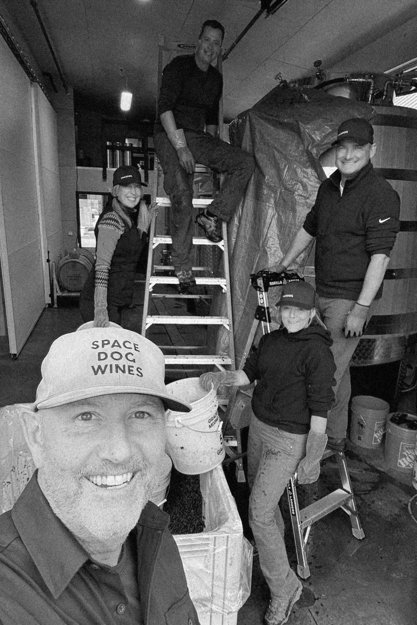 Team harvesting at SpaceDog Wines