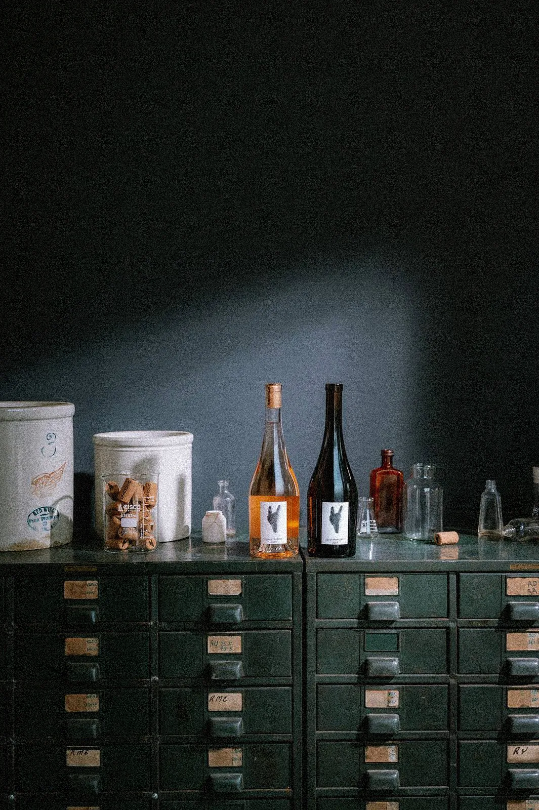 Spacedog Wine bottle